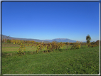 foto Alle pendici del Monte Grappa in Autunno